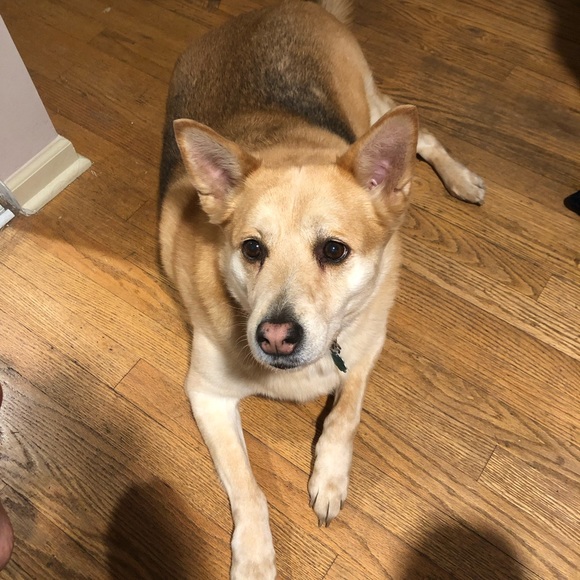 Meet your Posher, Charles - Picture 4 of 6